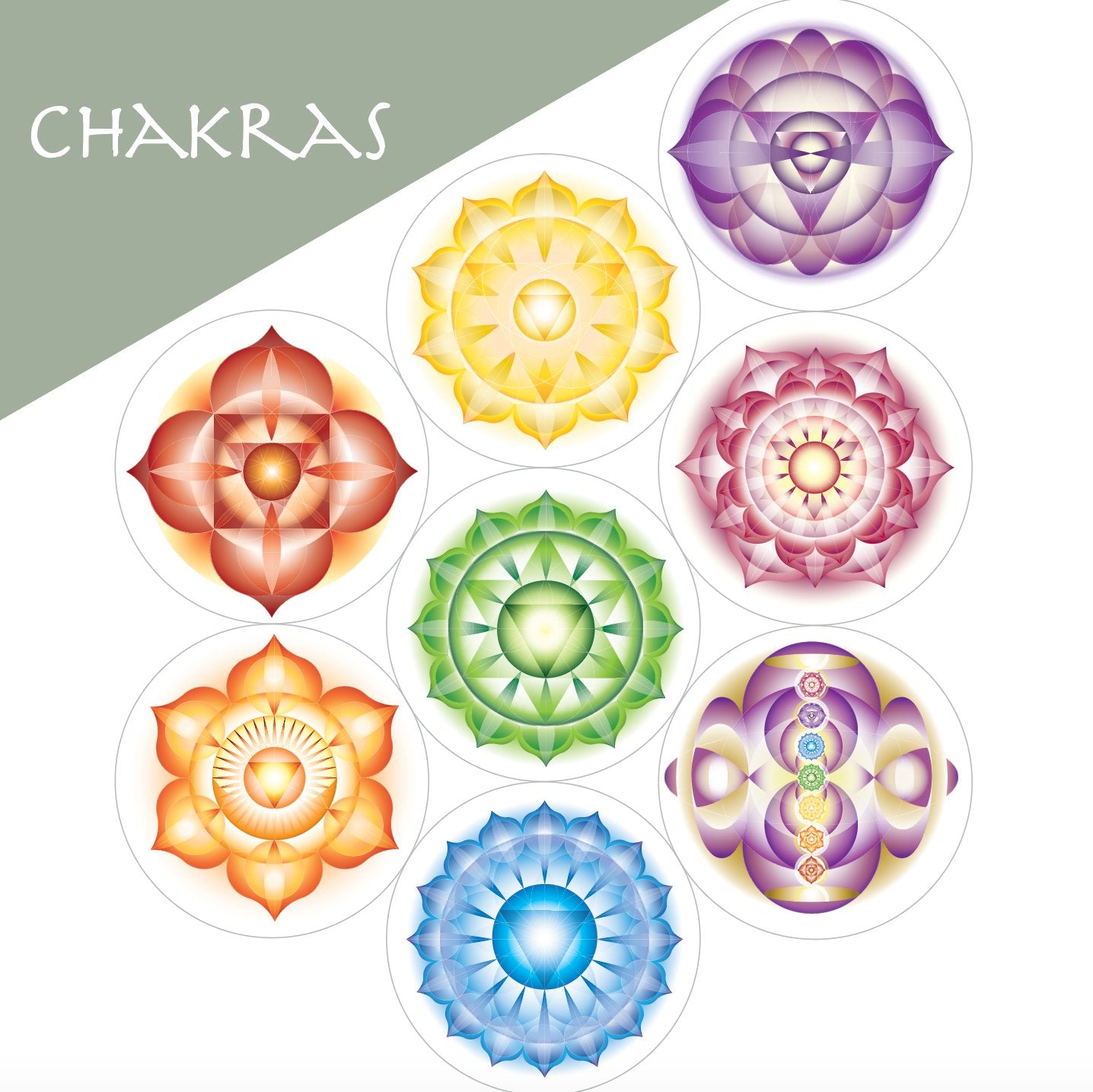 7 Chakras Symbol Collection