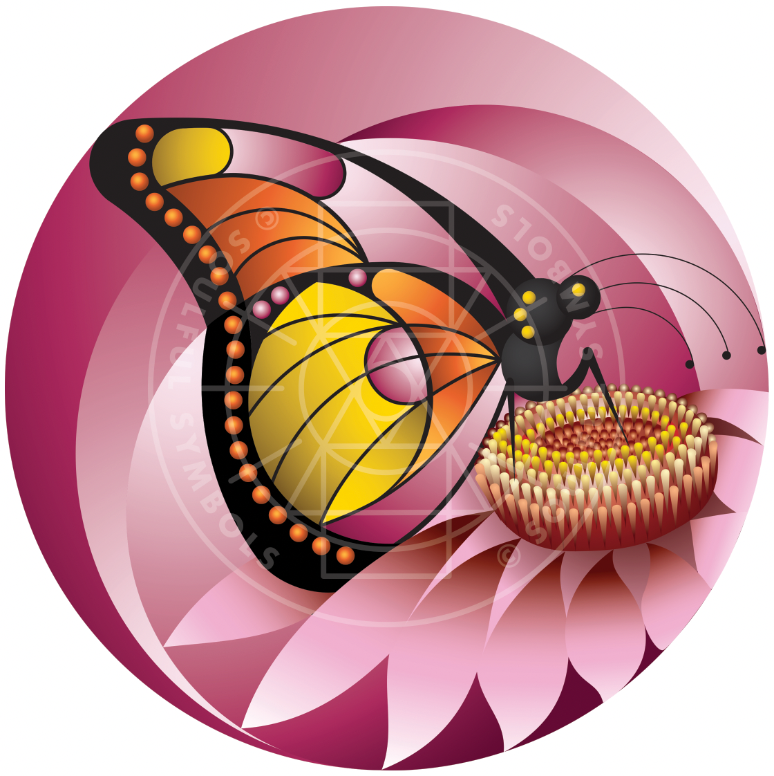 The Iridescent Butterfly (Animal Empowerment)